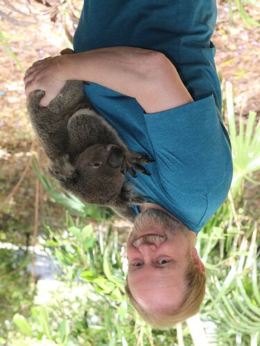koala-fredrik