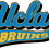 Bruinrogue