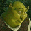 Clyde_Hyn